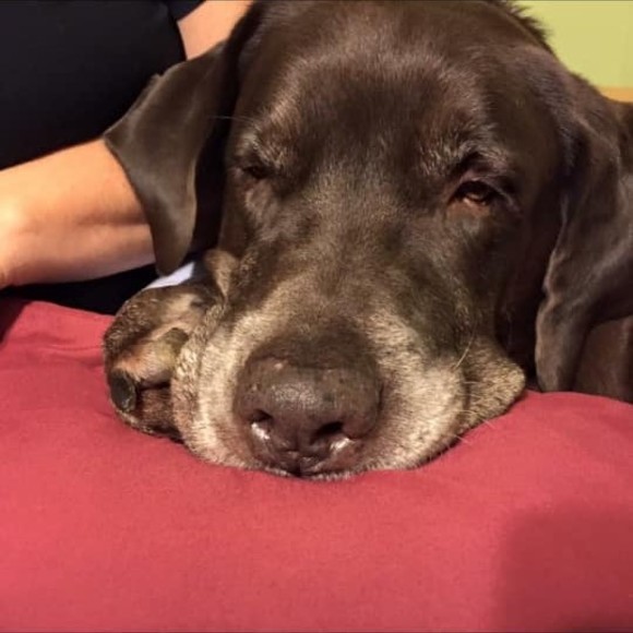 Meet your Posher, Sara - Picture 1 of 1